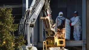 조류독감 장기화에 치솟는 계란·닭고기 값…밥상 물가 ‘뜀박질’