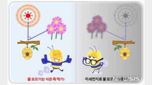 ‘초미세먼지에 길 잃는 꿀벌들’…꿀 찾는 비행시간 1.7배로 늘어