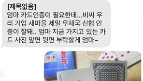 김기리, 문자 피싱범에 의연한 대처…조커카드 꺼내며 “(조)희팔이니?”