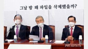 與 “한일해저터널, 日에 유리한 공약”…野 “친일과 관계 없어” 