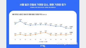 서울 빌라 거래량↑ 매매늘고 전월세는 급감