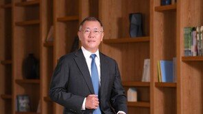 ‘안전’ 강조한 정의선…“사업장서 사고 발생하면 바로 이사회 보고”