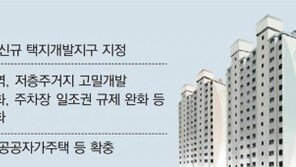 수도권 고밀개발, 지방은 택지조성… 80만채 안팎 공급