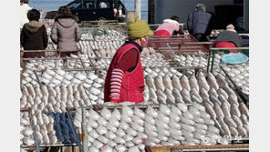 “설 차례상에 뭘 올릴까”