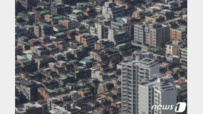 공공재개발에 빌라 매수 열기 아파트보다 뜨겁다…‘물딱지’ 주의보