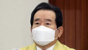 丁총리 “변이바이러스 지역확산 차단 급선무…신속히 조사”