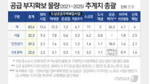 [2·4 대책]전국에 83만6000가구 신규 부지 확보…서울 32만가구