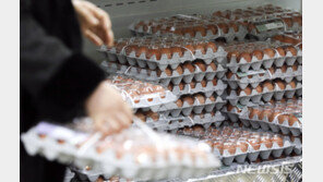 고공행진 계란값, 설 전까진 안 내릴 듯