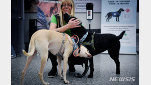 “독일서 훈련한 탐지견, 94% 정확도로 코로나 감염 여부 확인”