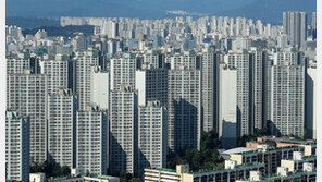 [2·4 대책]전문가 반응 “반쪽짜리 공급대책”