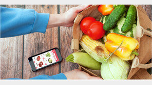  동네마트 장보기 플랫폼 더맘마, 151억원 시리즈B 투자 유치