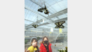 봄을 부르는 날갯짓 