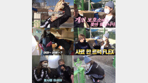 BJ 양팡, 유기견 봉사 활동으로 활동 복귀 “기부·봉사 계속할 것”