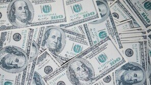 “쓰레기로 착각해 3억 버렸다”…알고 보니 집에 ‘그대로’