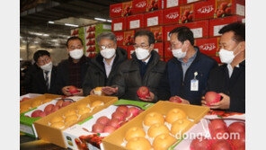 [포토]이성희 농협중앙회장, 설 명절 농산물 수급상황 점검