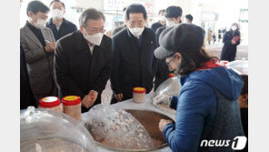 文 “가슴 뛰는 프로젝트”…‘일자리 12만개’ 신안 해상풍력단지