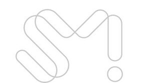 SM, 특별세무조사서 추징금 202억…“불복 절차 진행”