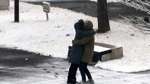 매일 그대와[고양이 눈]