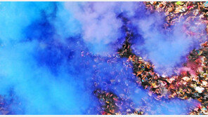 [책의 향기]전염병도 가짜뉴스도… 확산 막으려면 패턴을 읽어라