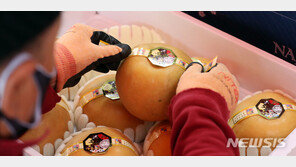 설 명절 제수용품 과일 값 크게 올라, 수산물 등도 소폭 상승