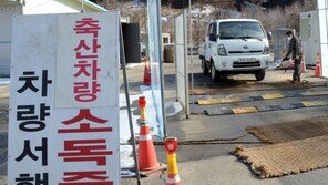 철원 야생조류 폐사체 34마리서 고병원성 AI 무더기 감염 확인