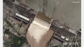 이집트대통령 “ 나일댐 분쟁, AU중재로 타결 낙관”