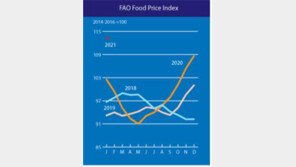 세계식량가격지수 고공행진…8개월 연속 상승