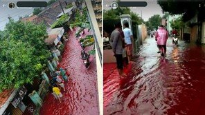 ‘이게 뭔일?’…핏빛 물에 잠긴 인니 도시