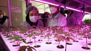 4·7 보궐선거 출사표 던진 후보들, 휴일에도 분주한 움직임[청계천 옆 사진관]