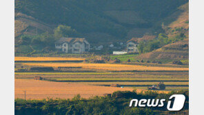 탈북→매매혼→북송→탈북…“영어가 삶 바꿨다” 탈북민女 英구의원 도전