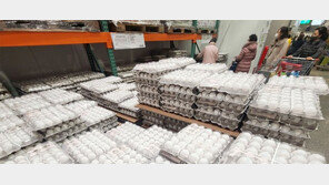 대형마트에 등장한 미국산 계란