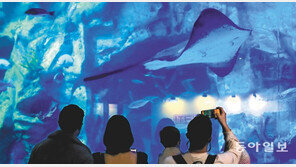 “먹이 먹는 해양생물 신기해요”