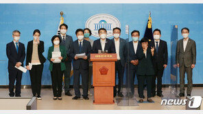 “미디어 횡포 막고자”… 與, 유튜버·블로거 상대 징벌적 손배제 입법 추진