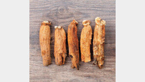 원기회복 대명사, 국민 건강식품 홍삼 