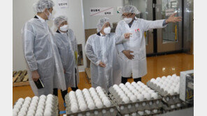 金계란, 수입해도 가격 안 잡히는 이유는? ‘에그플레이션’ 심화