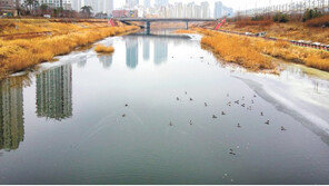 악취 나던 심곡천 ‘생태문화공간’으로 탈바꿈