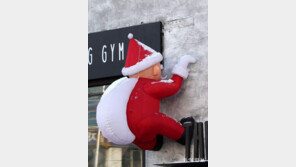 미리 크리스마스[고양이 눈]