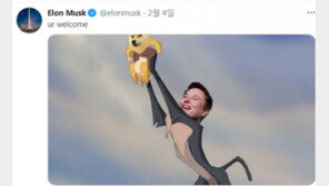 머스크 테슬라 CEO는 왜 비트코인에 꽃혔을까?