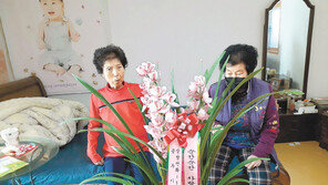 공주시, 홀몸노인에 난 화분 선물