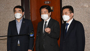 與, 언론·포털도 징벌적 손배 대상에…“2월 국회서 처리”