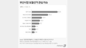10일 부산시장 선거라면…‘野 후보에 투표’ 50.6%, 與 후보 31.4%