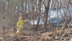 삼척 신기면 산불 3시간 만에 주불 진화…1㏊ 소실
