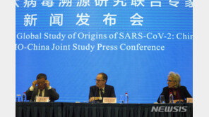 WHO “코로나19 우한 발원 증거 찾지 못했다”