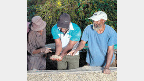 네스프레소 “농부-환경-미래까지 생각해야 좋은 커피”