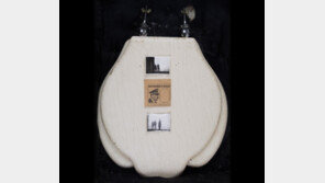 히틀러가 실제로 썼던 변기, 얼마에 팔렸을까?