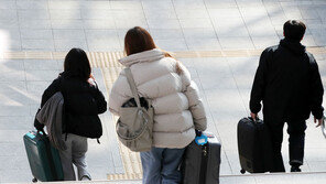 ‘설 거리두기’ 내심 반기는 20·30…“명절 스트레스 없다”