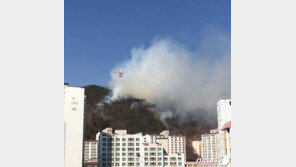 광양 가야산 산불…헬기 6대 등 투입 진화 중