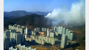 광양 가야산 3㏊ 태우고 주불 잡혀…“초등생 불장난 추정”