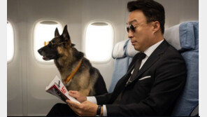 [TV속 영화관]외국 VIP ‘판다’를 챙기는 비밀요원 ‘태주’에게 뜻밖의 사고가…