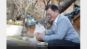 文대통령, 4개국어로 새해 인사…음력 설 안 쇠는 日 제외